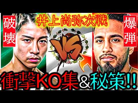 【井上尚弥の次戦!!】カルデナスKO集＆最新試合｜通称“ダイナマイト”｜試合が面白くなる!!トレーナー＆陣営というスパイス｜ボクシング解説