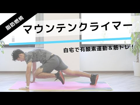 マウンテンクライマーの正しいやり方。有酸素運動＆筋トレで脂肪燃焼！【リングフィット攻略】