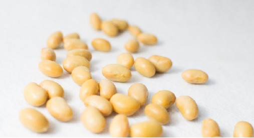 酢大豆でダイエット 作り方 大豆の栄養素と効果 効能もアップ 40マガジン