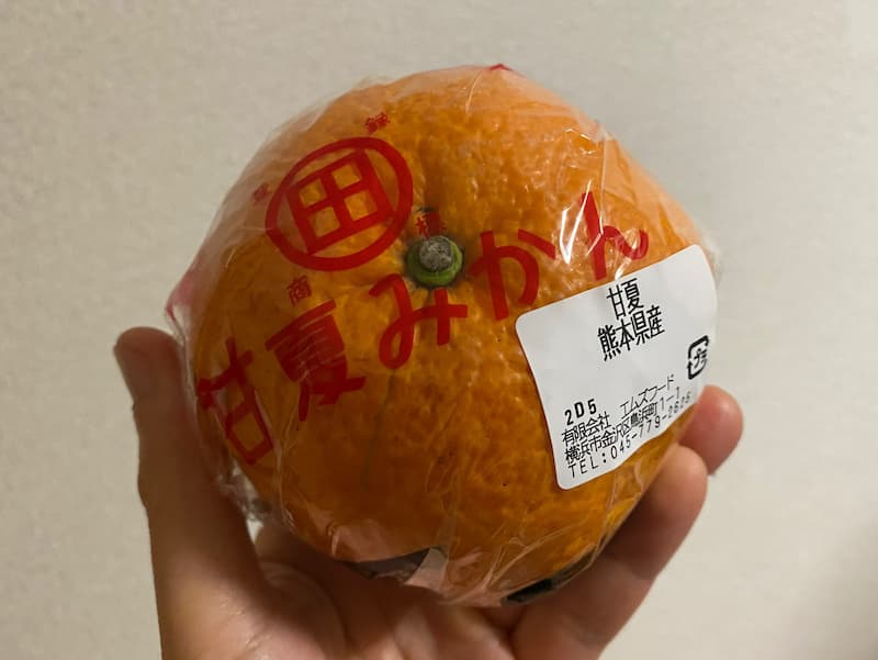 熊本産 甘夏みかん-写真