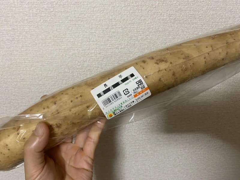 長芋-写真①