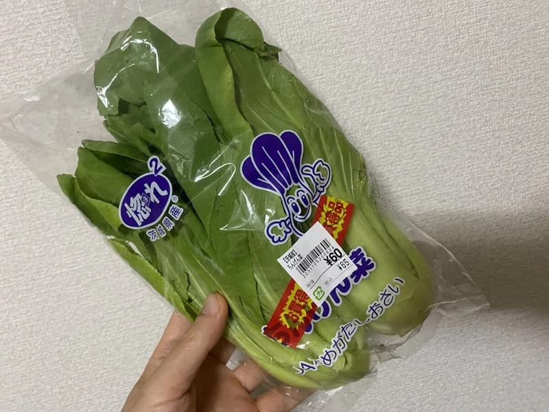 ちんげん菜-写真