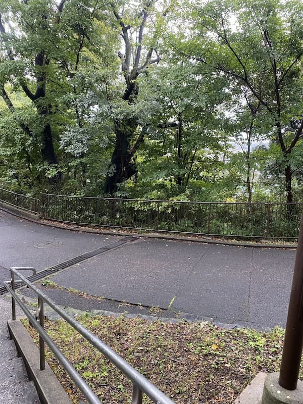 小雨の中、傘差してダッシュしてきた-写真