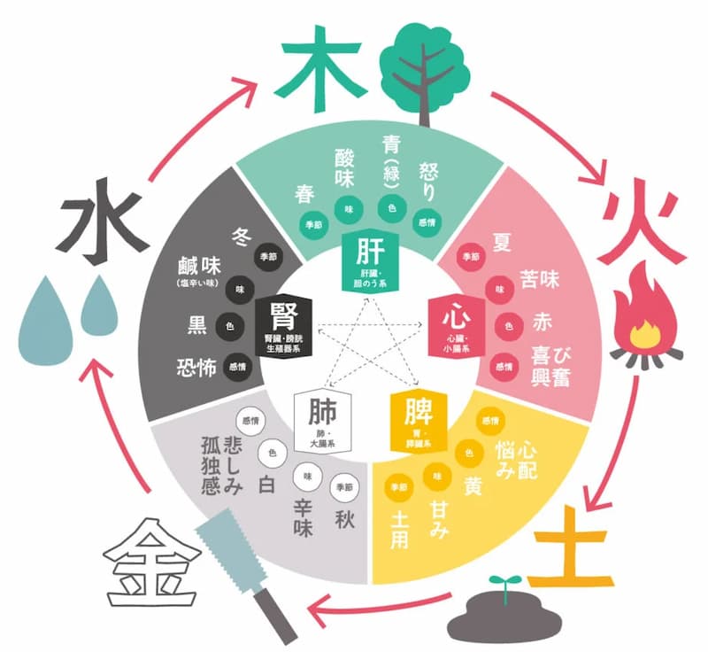 イラストAC-陰陽五行・五元素・五色・五臓の図