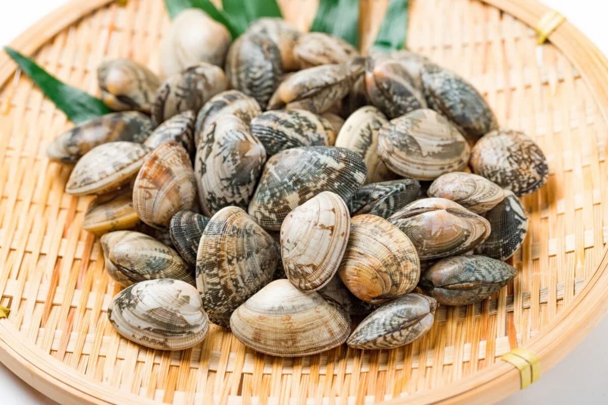 アサリ(浅利)の栄養成分と健康効果・効能｜タウリンが肝機能を高める