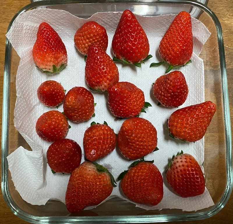いちごの保存-写真
