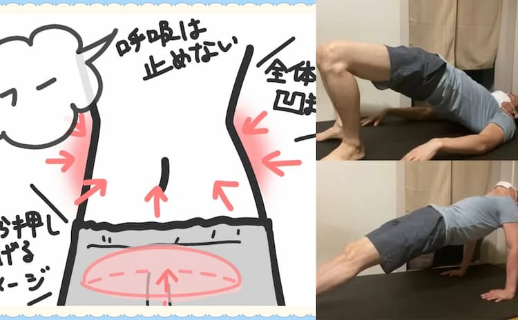 50代-ドローインで頻尿改善！内臓下垂は膀胱を刺激しオシッコを近くする！